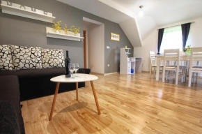 Отель Apartment Lana  Раковица
